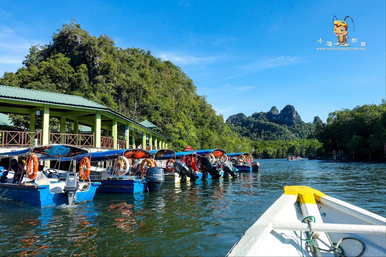 Jelajahi Keindahan Ekosistem Bakau di Langkawi dengan Mangrove Tour