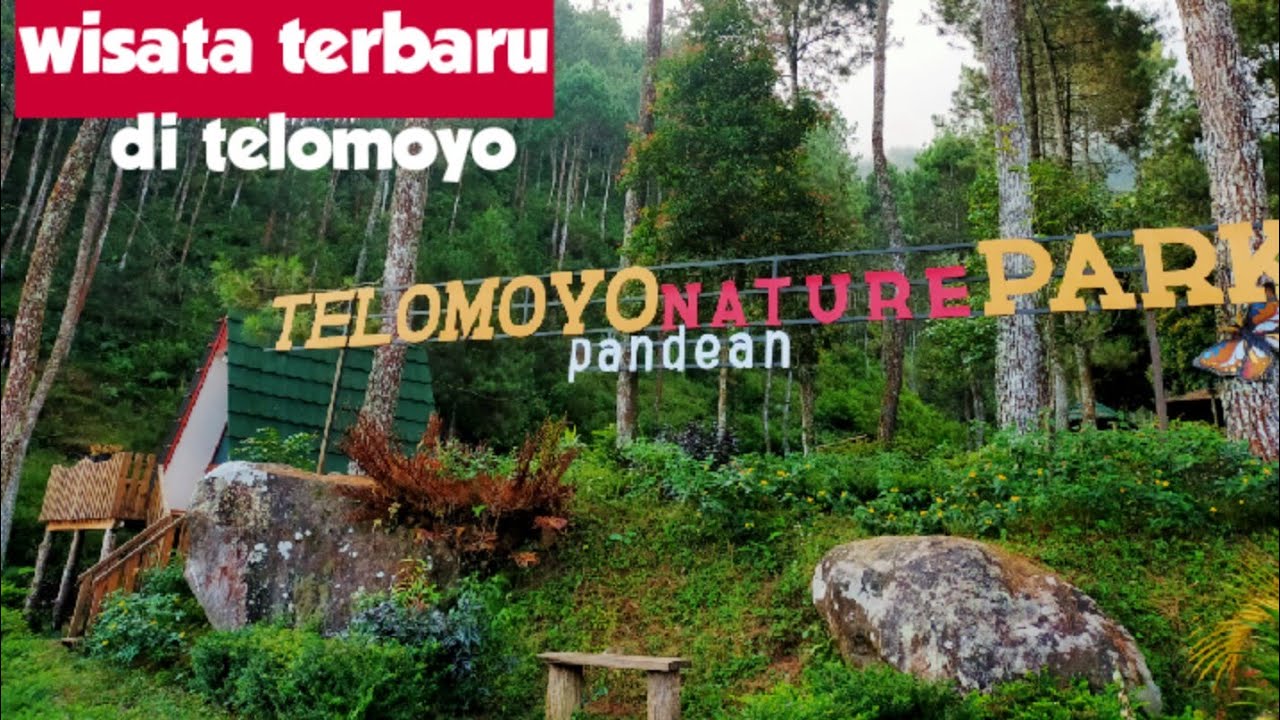 Telomoyo Nature Park: Menikmati Keindahan Alam dan Aktivitas Menarik